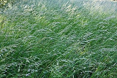 XGP五月上旬新增游戏阵容 《古墓丽影9：终极版》等